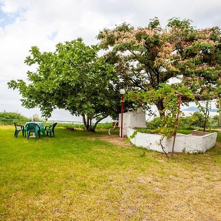 Mola Kaliva Sea View, 100M From The Beach! المظهر الخارجي الصورة