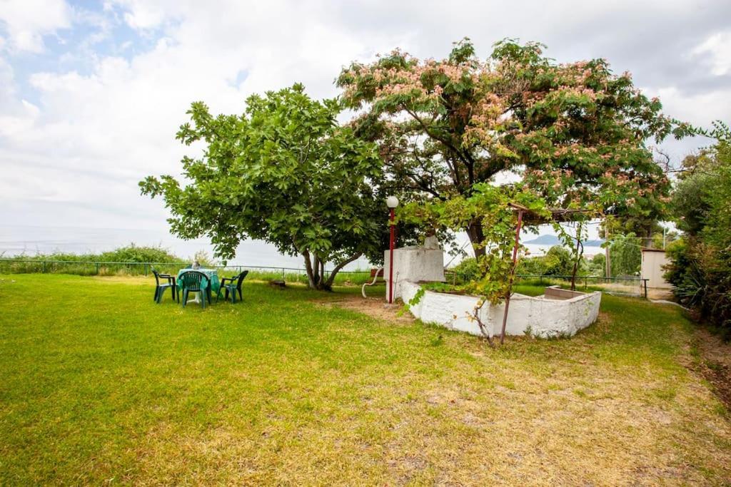 Mola Kaliva Sea View, 100M From The Beach! المظهر الخارجي الصورة